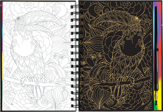 Extreme! The World of Birds Scratch and Sketch