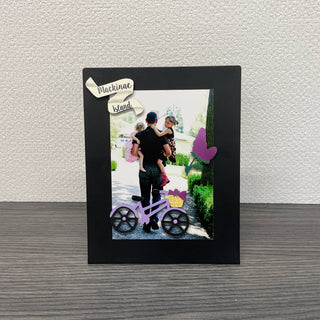 Mackinac Island Magnets S/3, Michigan Travel