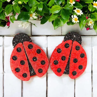Vent Clip Ladybug Freshies