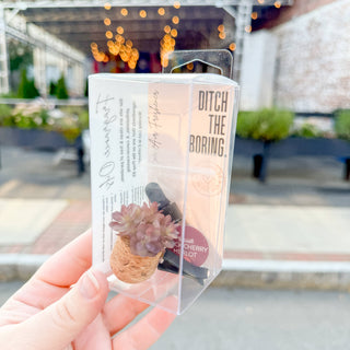 Mauve Succulent Vent Clip Car Air Freshener (Reusable)