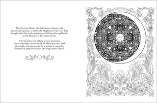 Believe in Magic by