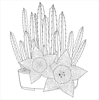 Succulents Adult Coloring Book