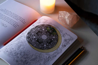 Believe in Magic by