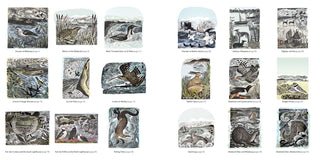 Countryside (Angela Harding) Colouring Book by
