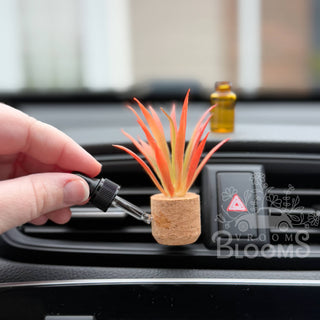 Orange Spikey Plant Vent Clip Car Air Freshener (Reusable)