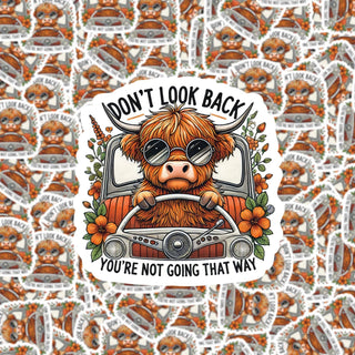 Don't Look Back You're Not Going That Way Sticker