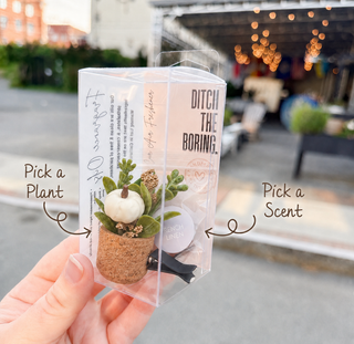 White Pumpkin Plant Vent Clip Car Air Freshener Reusable