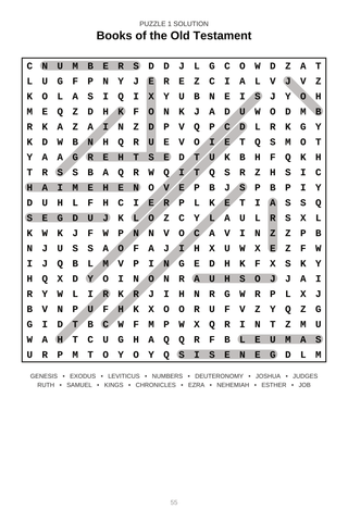 Old & New Testament Word Search Puzzle Book