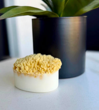 GOAP - Goat's Milk Soap