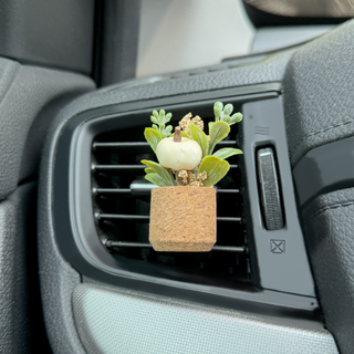 White Pumpkin Plant Vent Clip Car Air Freshener Reusable