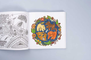 Woodland Kingdom Coloring Book by Toshiyuki Fukuda by Toshiyuki Fukuda