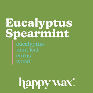 Eucalyptus Spearmint Wax Melts - (2 oz Pouch)