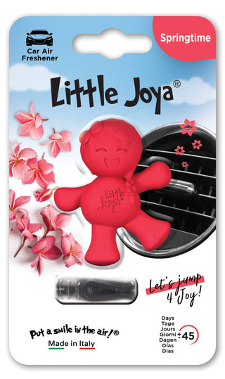 LITTLE JOYA FLOWER/ SPRINGTIME