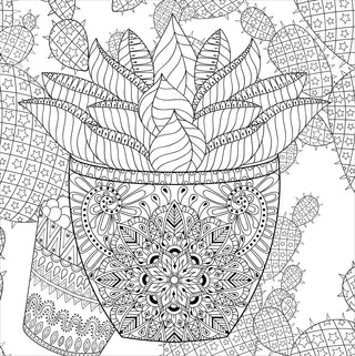 Succulents Adult Coloring Book