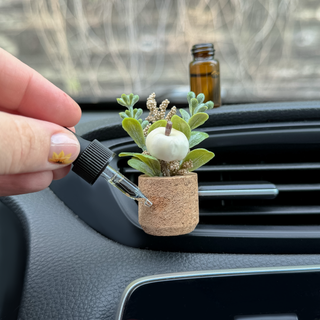 White Pumpkin Plant Vent Clip Car Air Freshener Reusable