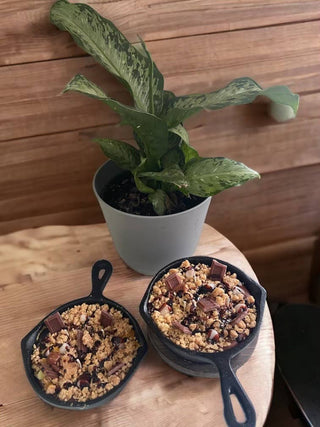 8 oz S'more Iron Skillet Candle