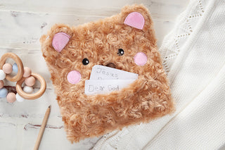 Prayer Bear (Furry Prayer Book for Children)