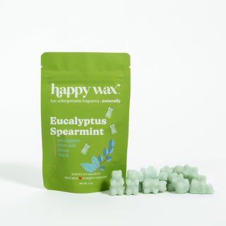 Eucalyptus Spearmint Wax Melts - (2 oz Pouch)