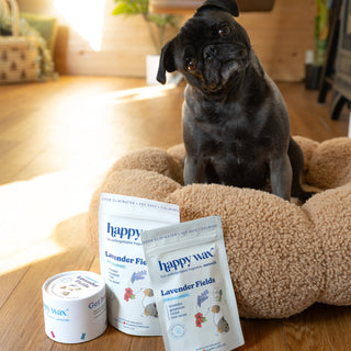 Lavender Fields Pet Wax Melts for Pet Owners (2 oz)