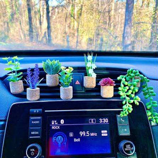 Monstera Plant Vent Clip Car Air Freshener (Reusable)