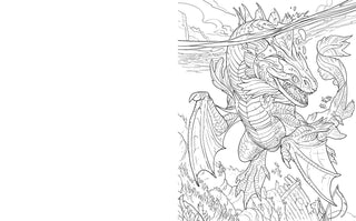 Dragoncore Coloring Book by Juan Calle
