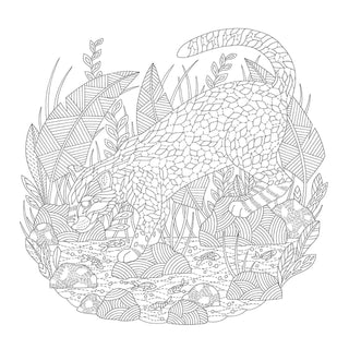 Millie Marotta's Animal Adventures Coloring Book